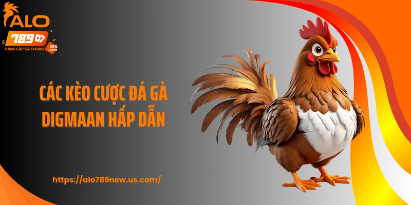 Các kèo cược đá gà Digmaan hấp dẫn