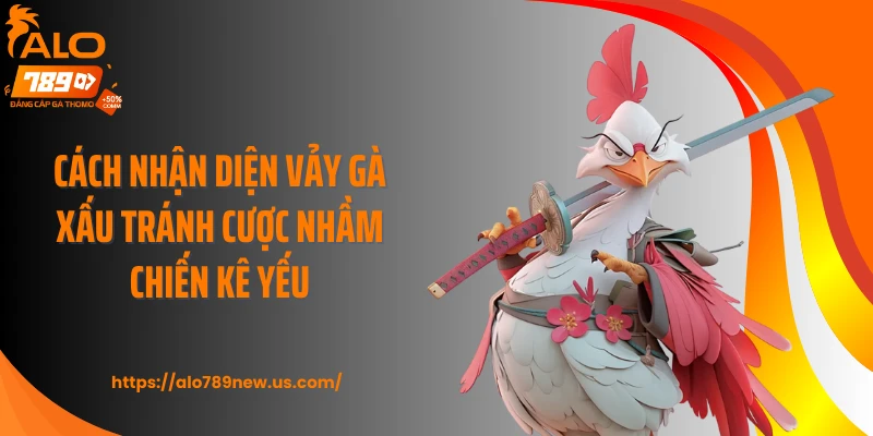 Cách Nhận Diện Vảy Gà Xấu Tránh Cược Nhầm Chiến Kê Yếu