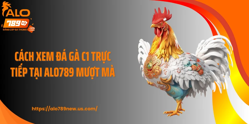 Cách xem đá gà C1 trực tiếp tại ALO789 mượt mà