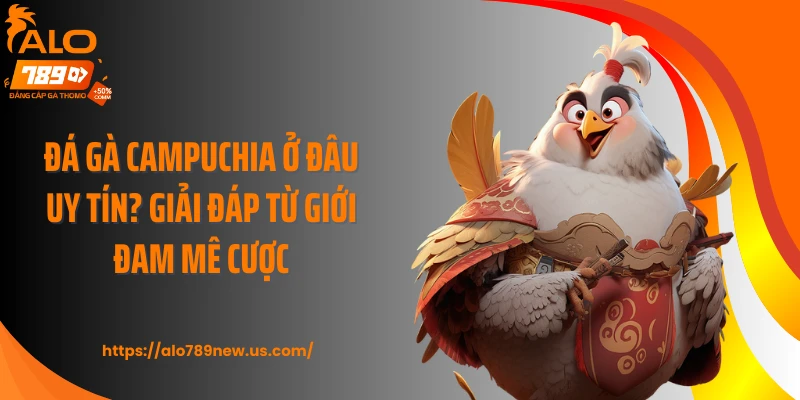 Đá Gà Campuchia Ở Đâu Uy Tín? Giải Đáp Từ Giới Đam Mê Cược