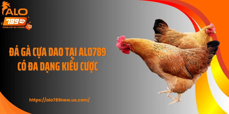 Đá gà cựa dao tại ALO789 có đa dạng kiểu cược