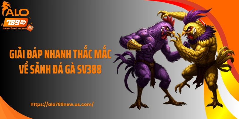 Giải đáp nhanh thắc mắc về sảnh đá gà SV388