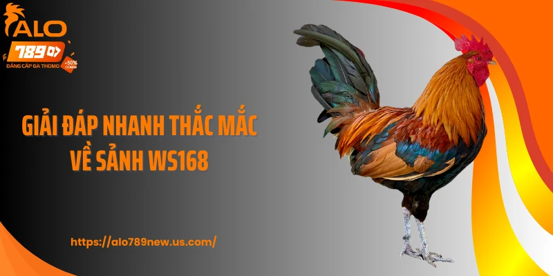 Giải đáp nhanh thắc mắc về sảnh WS168