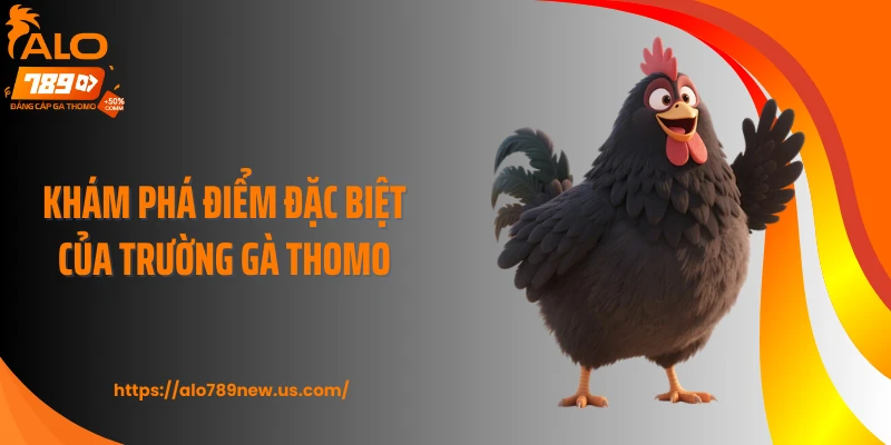 Khám phá điểm đặc biệt của trường chọi gà Thomo