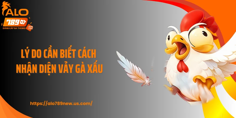 Lý do cần biết cách nhận diện vảy gà xấu