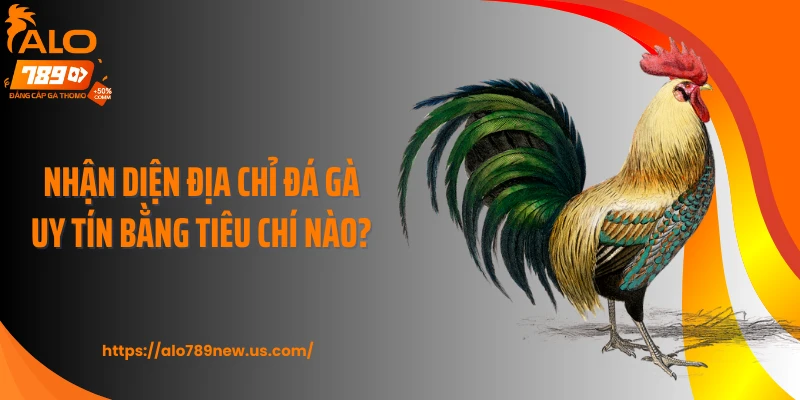 Nhận diện địa chỉ đá gà uy tín bằng tiêu chí nào?