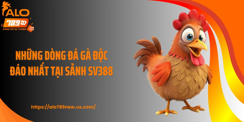 Những dòng đá gà độc đáo nhất tại sảnh SV388