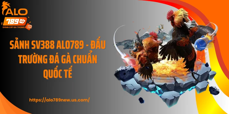 Sảnh SV388 ALO789 - Đấu Trường Đá Gà Chuẩn Quốc Tế