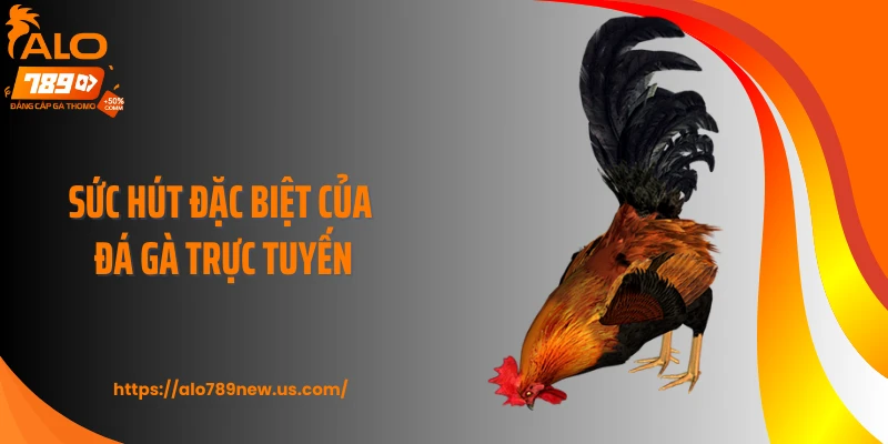 Sức hút đặc biệt của đá gà trực tuyến
