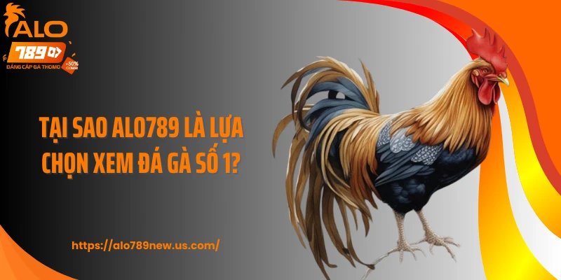 Tại sao ALO789 là lựa chọn xem đá gà số 1?
