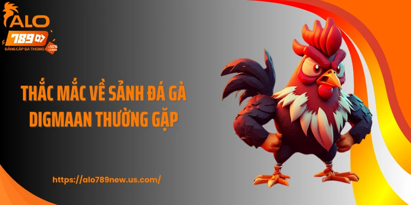 Thắc mắc về sảnh đá gà Digmaan thường gặp