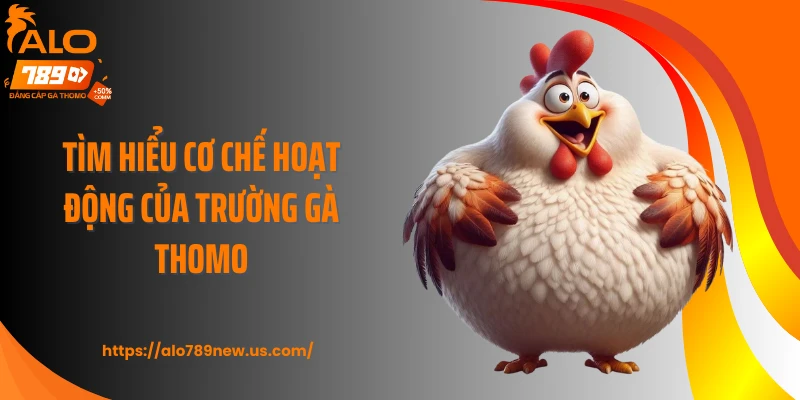Tìm hiểu cơ chế hoạt động của trường gà Thomo
