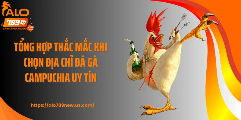 Tổng hợp thắc mắc khi chọn địa chỉ đá gà Campuchia uy tín