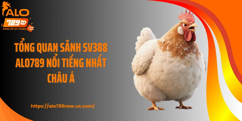 Tổng quan sảnh SV388 ALO789 nổi tiếng nhất châu Á