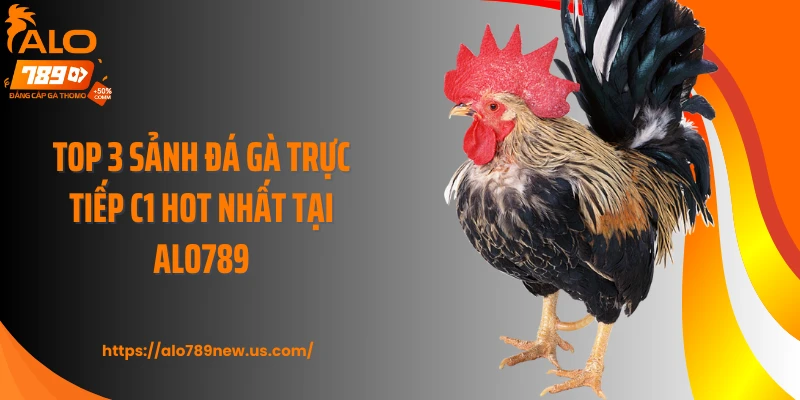 Top 3 sảnh đá gà trực tiếp C1 hot nhất tại ALO789