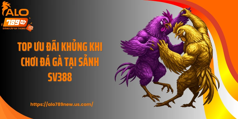 Top ưu đãi khủng khi chơi đá gà tại sảnh SV388