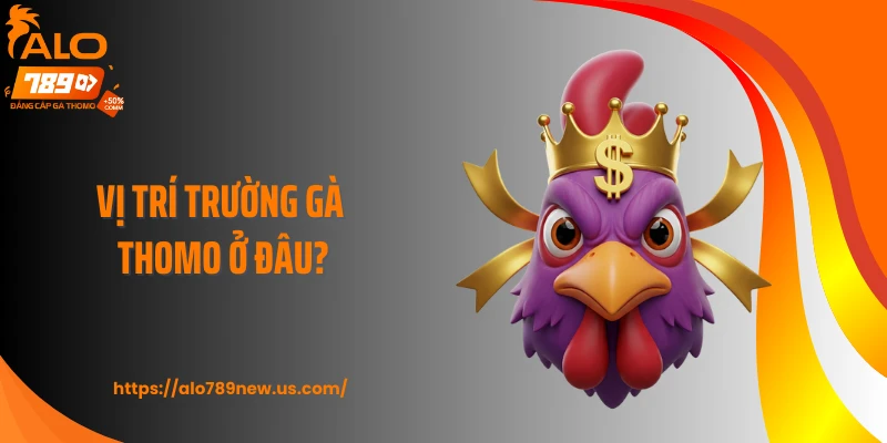 Vị trí trường gà Thomo ở đâu?